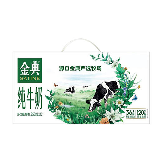 伊利金典纯牛奶 250ml*12盒*2 两提装--LZY 商品图1