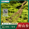 【产地直发】国检二等生晒野山参（全国包邮）偏远地区除外 商品缩略图0
