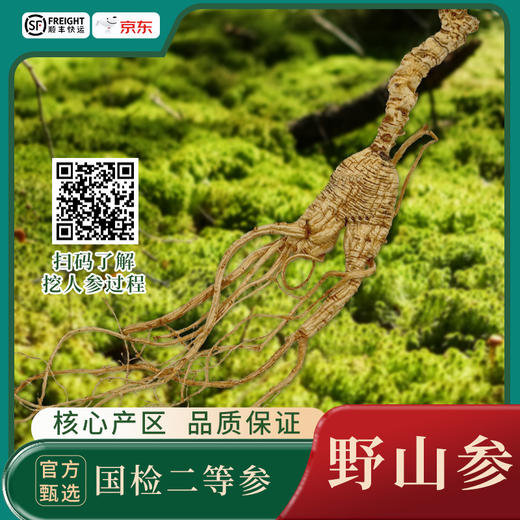【产地直发】国检二等生晒野山参（全国包邮）偏远地区除外 商品图0