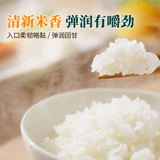 邻家饭香 东北大米 长粒香米 2.5kg/袋 商品图4