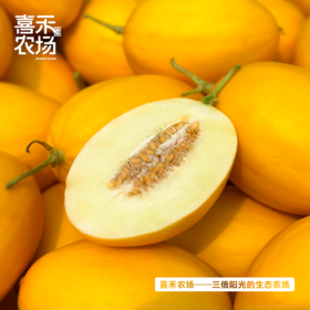 喜禾农场金妃蜜瓜4.5-5斤装（3个）