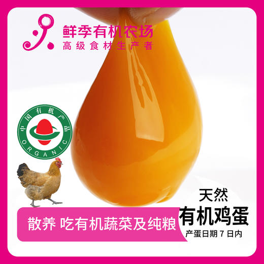 一人吃宝贝套餐  6样菜+6枚鸡蛋+1个鸡全腿+3两猪精瘦肉 商品图9