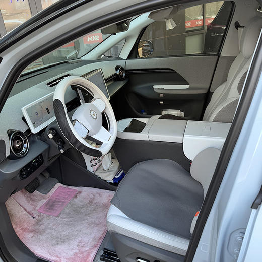 ARCFOX极狐 极狐考拉 亲子版 【长租-北京】 商品图3