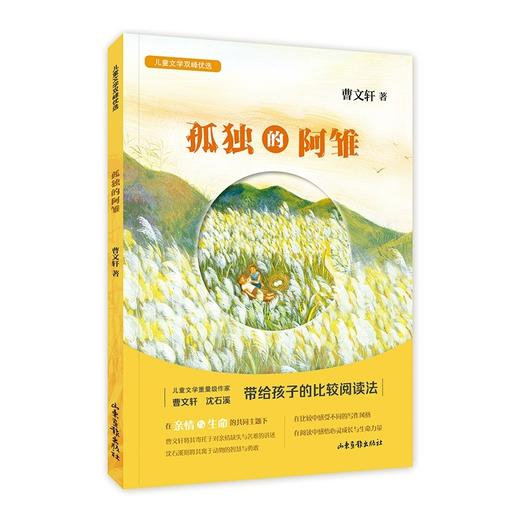 孤独的阿雏 曹文轩 儿童文学双峰优选fb亲情友情生命成长 阅读中让孩子获得心灵成长和生命力量 商品图1