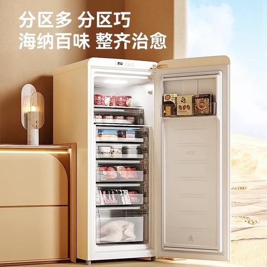 大宇立式冷柜家用抽屉全冷冻风冷无霜冷冻柜保鲜储存冷柜BD- 120WDYA 商品图4