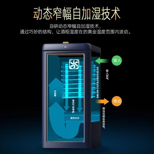 DAEWOO韩国大宇红酒柜家用客厅恒温小型冰吧葡萄酒柜冷藏茶叶柜DY-HJ118YD 商品图4