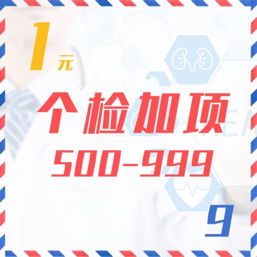 个检加项（500-999  9Z） 商品图0
