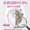 【15.9元会员福利】蔬果园英式花园洁厕剂500g*2（1+1特惠装） 商品缩略图3