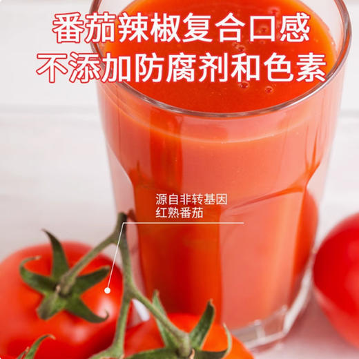 亨氏番茄辣椒酱320g整箱 商用辣酱手抓饼汉堡酱鸡肉卷辣沙司 商品图3