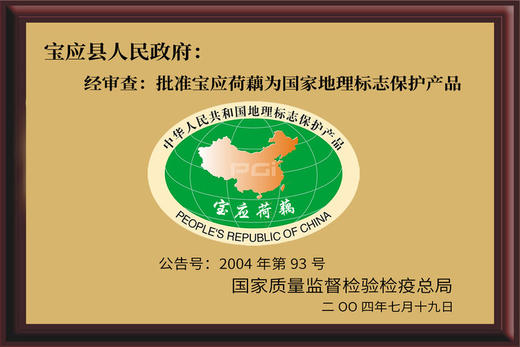 某辉同行卖爆-国家地理标志【荷花慢-宝应香糯桂花糖莲藕】无添加香精色素防腐剂-宝应县“荷藕之乡” 自然生长 秘制配方 粉糯甘甜 优中选优  500克单个糯米糖藕 打开就能吃 甜而不腻 入口即化 商品图5