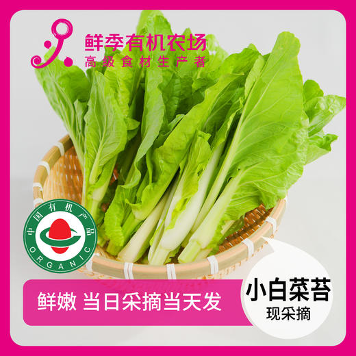 一人吃宝贝套餐  6样菜+6枚鸡蛋+1个鸡全腿+3两猪精瘦肉 商品图8