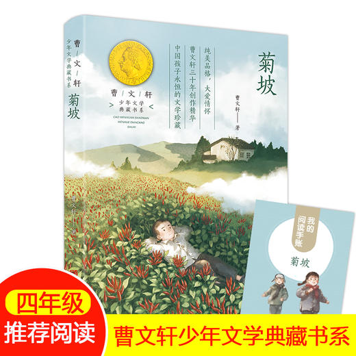 菊坡书 曹文轩系列少年文学典藏书系fb小学生三四五六年级课外阅读书籍9-12岁儿童文学故事书经典名著作品中国当代小说 商品图0