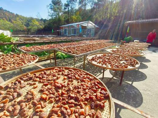 【仙山炁和】黄精茶袋装 120g/袋 商品图2