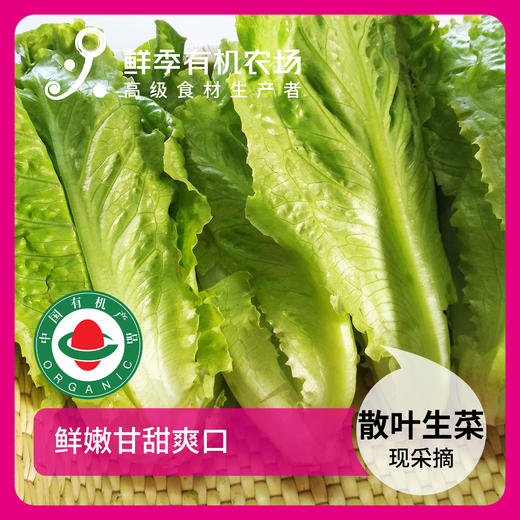 一人吃宝贝套餐  6样菜+6枚鸡蛋+1个鸡全腿+3两猪精瘦肉 商品图6