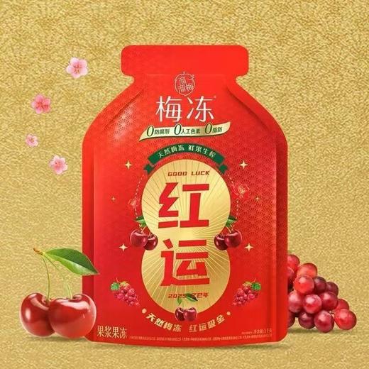 J溜溜梅1kg红运显眼包梅冻 商品图1