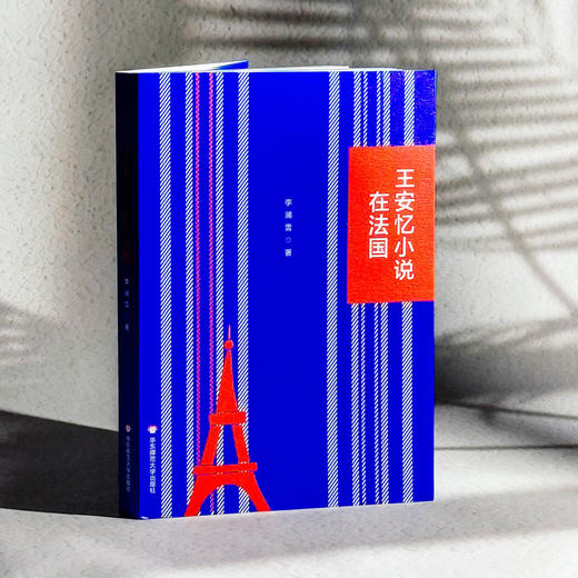 王安忆小说在法国 李澜雪 系统研究王安忆作品在法国译介传播 商品图3