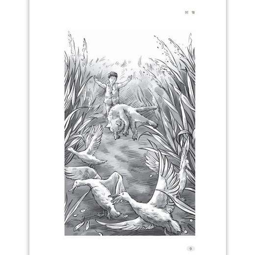 孤独的阿雏 曹文轩 儿童文学双峰优选fb亲情友情生命成长 阅读中让孩子获得心灵成长和生命力量 商品图3