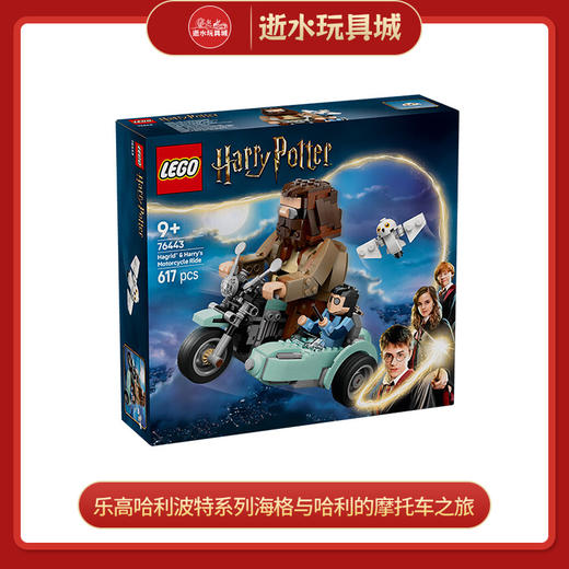 乐高积木L76443乐高哈利波特系列海格与哈利的摩托车之旅 商品图0