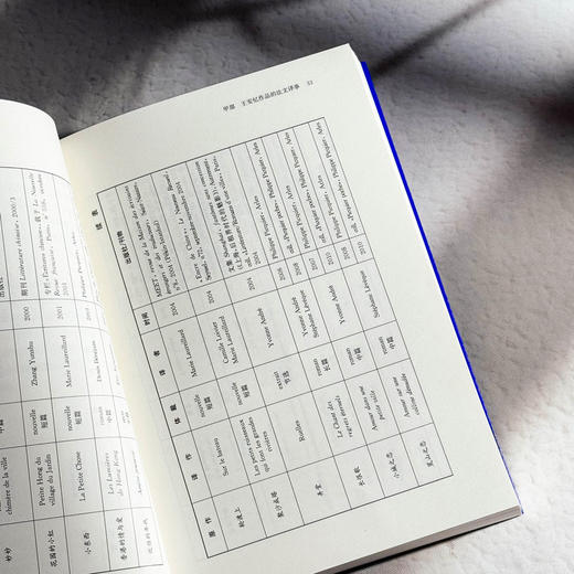 王安忆小说在法国 李澜雪 系统研究王安忆作品在法国译介传播 商品图10