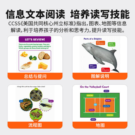 JUMP系列（仅S7点读笔可点读） 商品图2