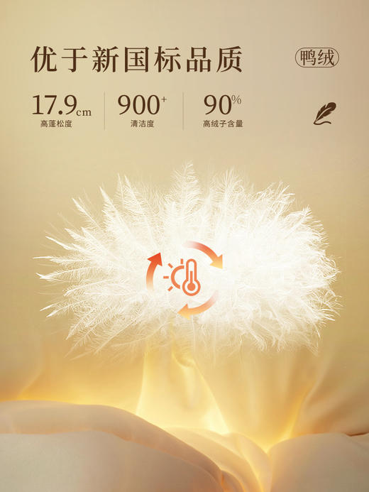 【年终特卖】熙世界女士羽绒服冬季中长款2025年新款时尚黑色显瘦连帽鸭绒外套 商品图2