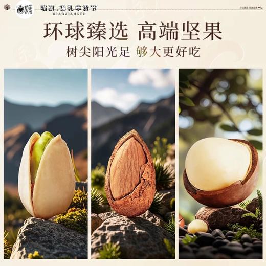 20225年春节臻味全系列坚果礼盒💥臻味环球坚果礼盒 商品图5