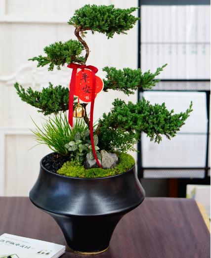 五层塔盆栽 商品图0