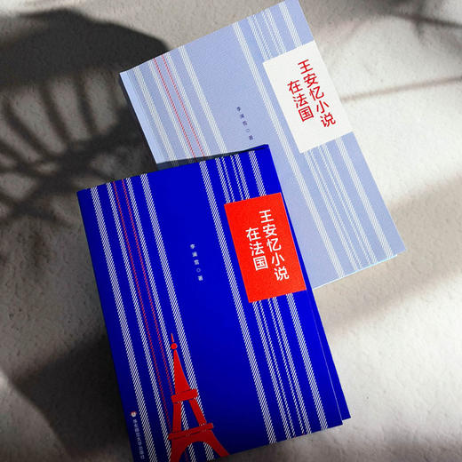 王安忆小说在法国 李澜雪 系统研究王安忆作品在法国译介传播 商品图5