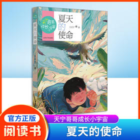 夏天的使命 王天宁著 正版fb天宁哥哥成长小宇宙 少年儿童课外阅读图书籍 山东大学出版社