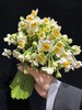 同城甄选精品花材单头洋水仙一扎 商品缩略图0