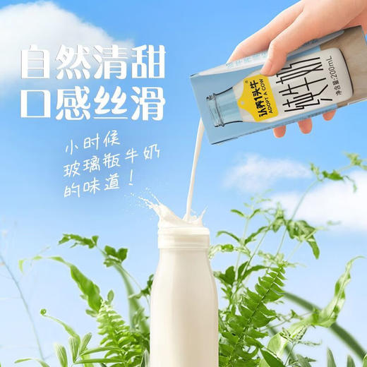认养一头牛纯牛奶礼盒200ml*10盒（新年款） 商品图2