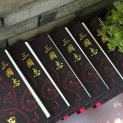 三国志6册 商品图5