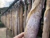 风干带鱼 1斤装(舟山雷达网带鱼制作) 选择深海雷达网油带鱼，洗杀去头尾，西北风吹干7-8成干，油么么，香喷喷的风干带鱼就做好了。 商品缩略图3