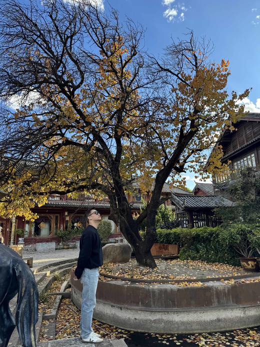 顺丰包邮40308洛诗琳秋季黑色长袖圆领运动风男士水洗卫衣1019 商品图3