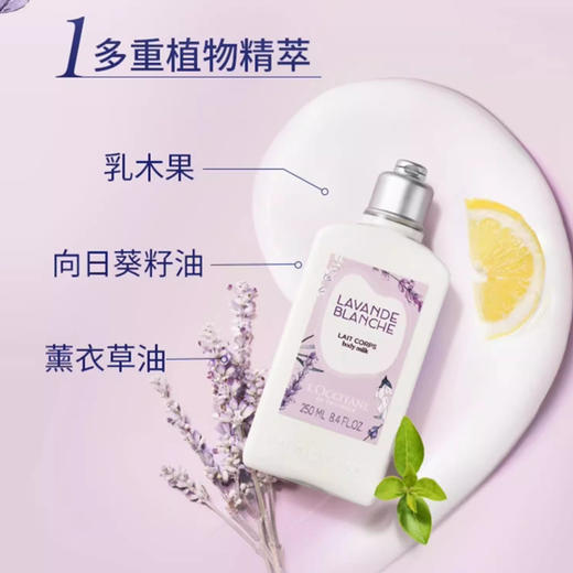 【保税仓】欧舒丹乳木果新魅力男士绅士沐浴洗发露身体乳250ml 商品图4