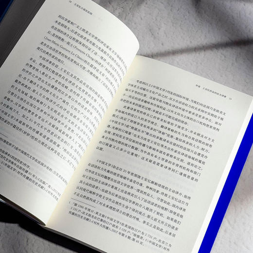 王安忆小说在法国 李澜雪 系统研究王安忆作品在法国译介传播 商品图11