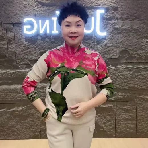 A808休闲宽松大版衫2025阔太太半高领针织上衣女百搭休闲高弹力打底衫 商品图7