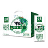 伊利金典纯牛奶250ml*12盒--LZY 商品缩略图1