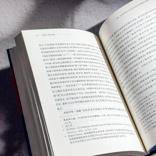 王安忆小说在法国 李澜雪 系统研究王安忆作品在法国译介传播 商品图12