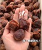【爆款零食】新疆特级大丑杏，蜜饯天花板，软糯香甜，浓浓杏子香味，干湿度合适，一吃就停不下来！ 商品缩略图1