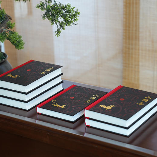 三国志6册 商品图3