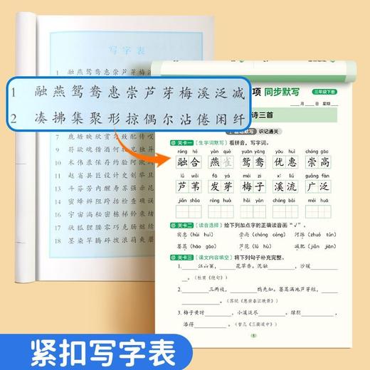 小学同步练字帖一年级二年级三年级下册看拼音写词语默写练字本小学语文数学同步写字帖人教版专用1-6年级课本生字词语填空造句练习儿童每日一练字帖 商品图2