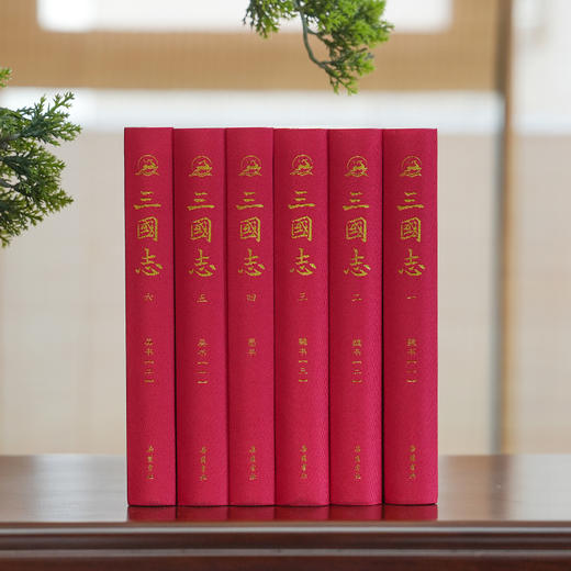 三国志6册 商品图8