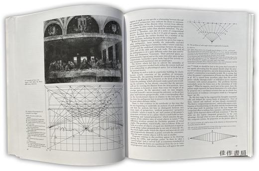 艺术的科学/The Science of Art: Optical Themes in Western Art from Brunelleschi to Seurat　 商品图1