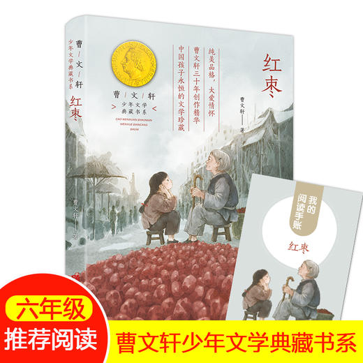 红枣曹文轩 少年文学典藏书系书籍fb小学生五年级六年级课外书曹文轩红枣9-12岁儿童文学名著作品短篇小说 商品图0