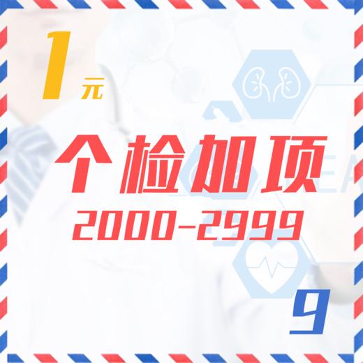 个检加项（2000-2999  9Z） 商品图0
