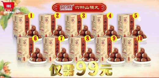 宝桢堂六物山楂丸 商品图2