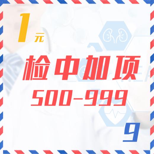 检中加项（500-999  9Z） 商品图0