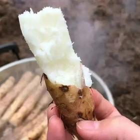 怀垆土铁棍山药 特级10斤箱装 霜降后采摘 原产地域性保护产品认证 营养价值高（河南焦作德邦发货）