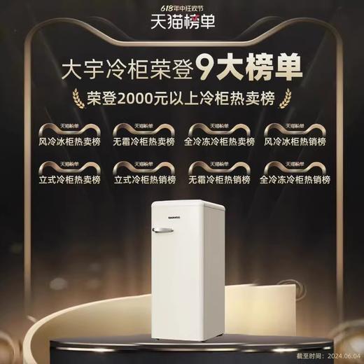 大宇立式冷柜家用抽屉全冷冻风冷无霜冷冻柜保鲜储存冷柜BD- 120WDYA 商品图2